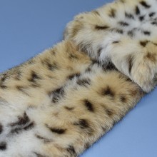 Lynxcat